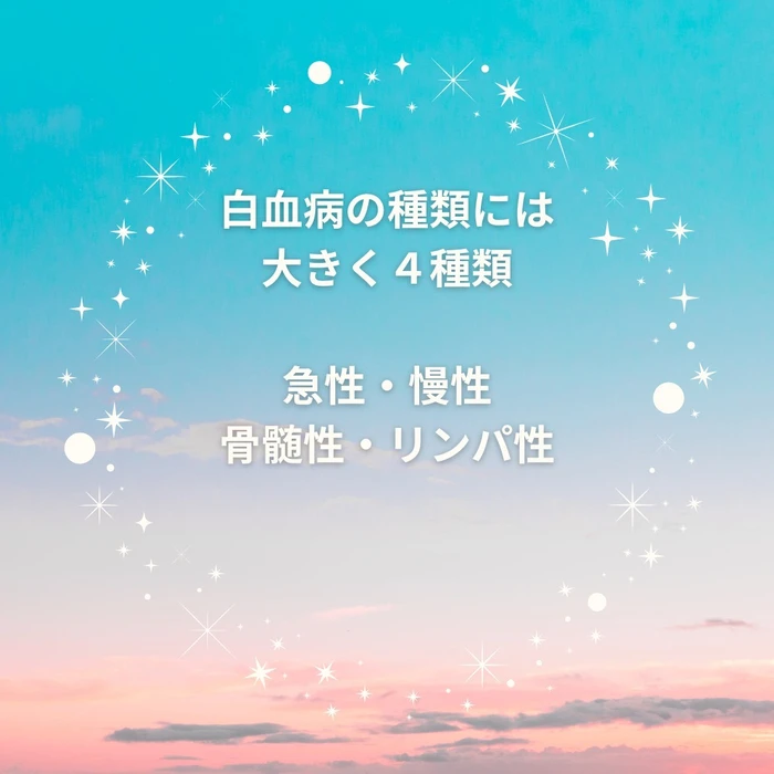 画像330