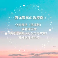 画像348