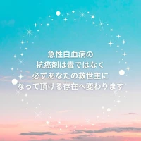 画像355
