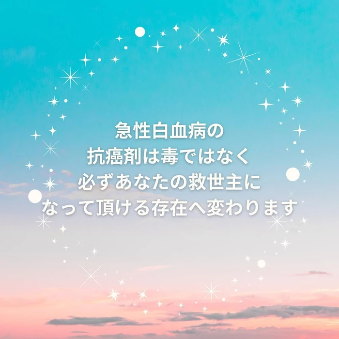 画像355