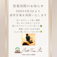 画像568
